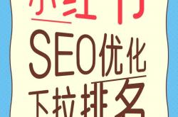 吴中seo优化有哪些