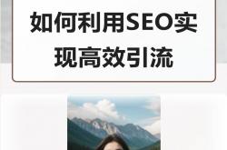罗田seo获客介绍