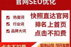 山东seo网站推广