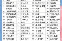 seo职位有哪些分类