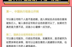 seo查询攻略