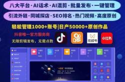 广东矩阵seo项目