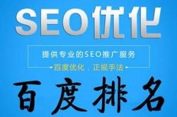 seo优化排名软件