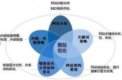 乐至企业网站优化服务