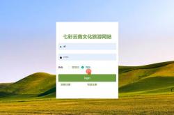 云南seo样式