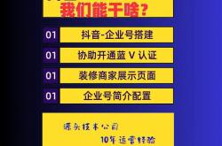 聊城抖音seo引流公司