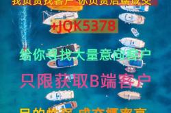 长沙整站seo优化技术