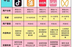 短视频seo排名渠道