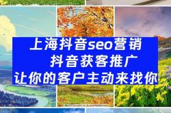 上海抖音seo渠道