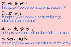 中文seo网站