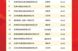 甘肃网站seo哪家有名