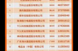 深圳seo公司名单