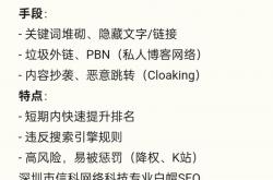 2021黑帽seo价格