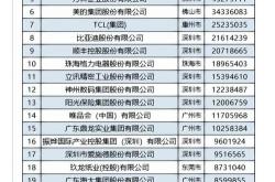 韶关seo排名公司