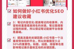 朔州小红书seo
