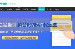 海南抖音seo运营公司
