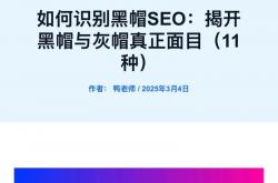 灰帽seo名词解释
