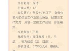 漯河实力网站优化招聘网