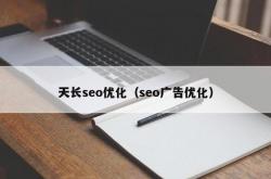 天长seo优化