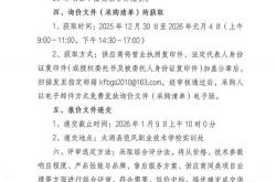 中山新站seo建议