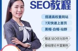seo教程视频全集网站