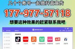 卖seo霸屏工具