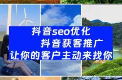 丽水抖音seo厂家供货