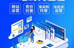 学竞价网站优化