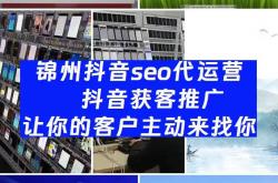 锦州抖音seo