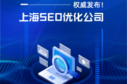上海最专业的seo公司