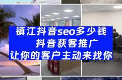 专业seo排名免费咨询
