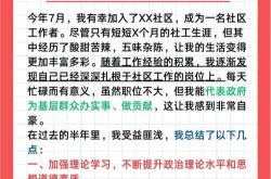网站优化心得总结报告