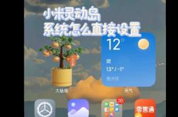 小米手机网站优化设置