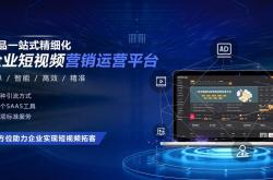 金湖seo网站优化推广价格
