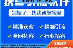 河北seo查询如何获客