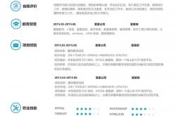 义乌网站优化简历