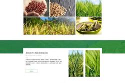 苗栗网站优化