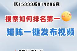 成都抖音seo矩阵厂家