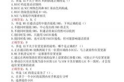 商务考试seo题目