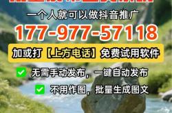 枣庄seo推广优化
