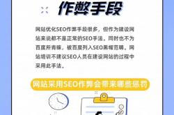 为什么要用seo作弊