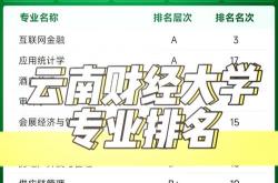 云南省seo排名