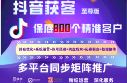 seo客源引流