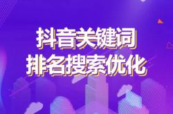 沧州抖音搜索seo