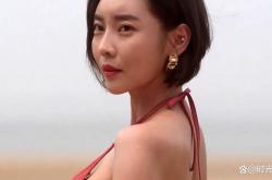徐英YoungSeo下载