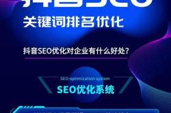 抖音seo项目招商