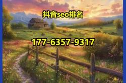 抚顺网站优化推广