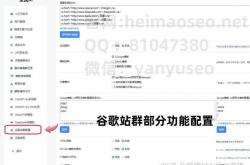 站群+黑帽+seo