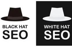 seo黑帽购买