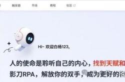 Seo实战派